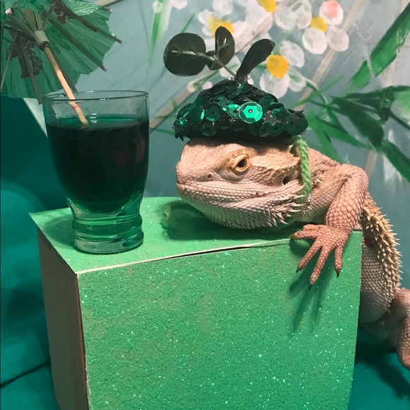 Thank you for shopping with me! Offers welcome! - Picture 6 of 16